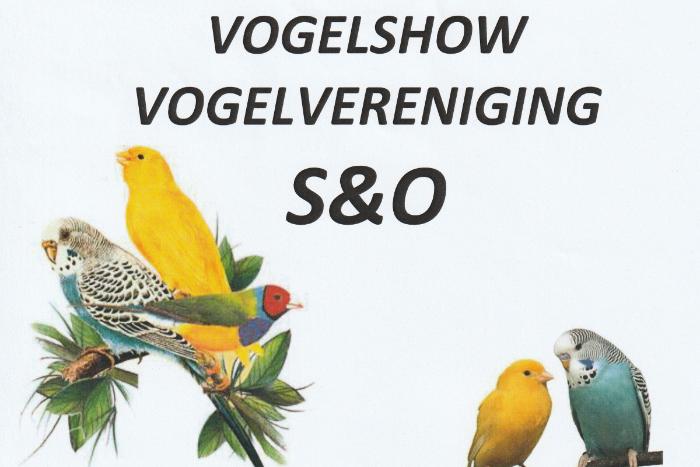 vogelshow schagen & omgeving